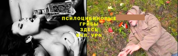 стаф Армянск