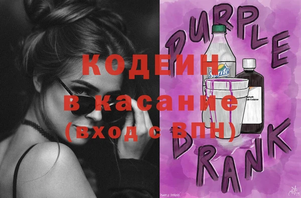 сатива Арсеньев