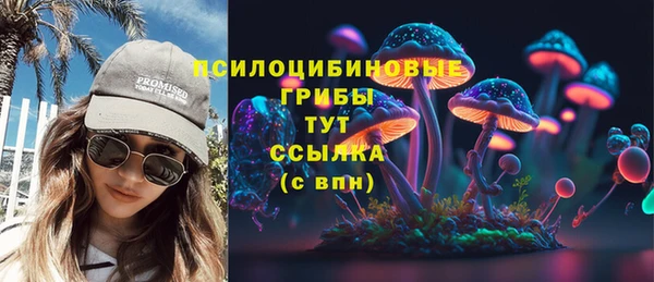 сатива Арсеньев