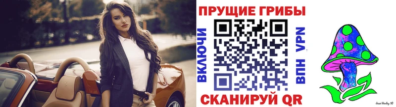 Галлюциногенные грибы Psilocybine cubensis купить цена omg Углич
